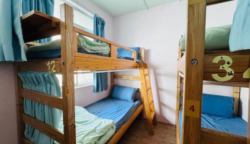 Bunk Bed in Female Dormitory Room  