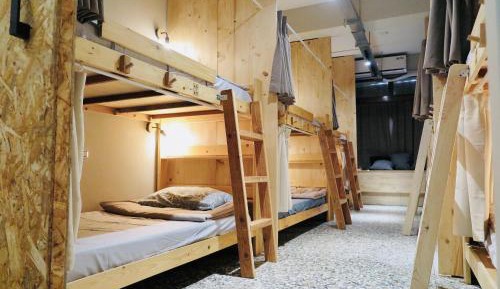 Bunk Bed in Mixed Dormitory Room
