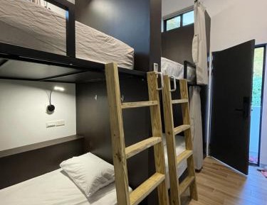 Bunk Bed in Mixed Dormitory Room
