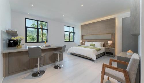 Superior King Room