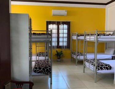 Bed in 8-Bed Mixed Dormitory Room