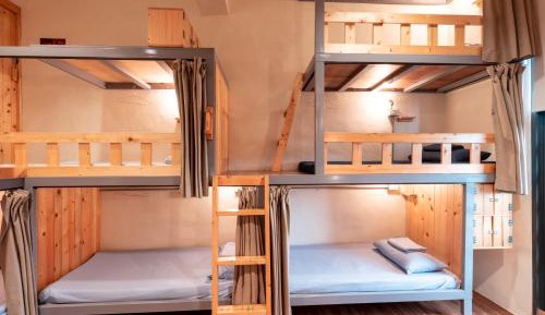 Bed in 10-Bed Mixed Dormitory Room