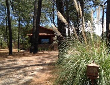 King Suite Cabin