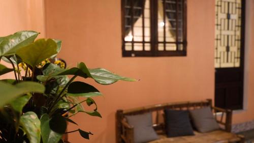 Studio with Garden View