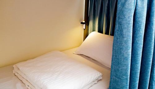 Bunk Bed in Mixed Dormitory Room