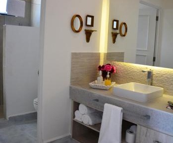 Deluxe King Suite