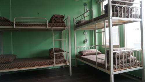 Bed in 6-Bed Mixed Dormitory Room