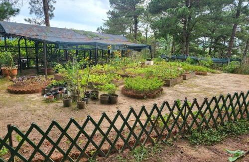 Da Lat Apartment | FULL MOON FARMS DALAT