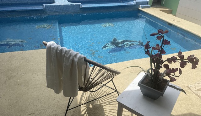 Hotel Oasis