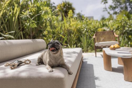 Andaz Mayakoba Concept 
