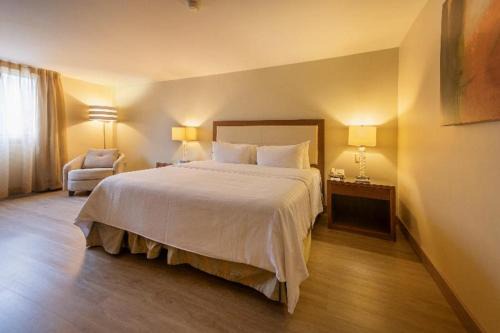 Antaris Valle 